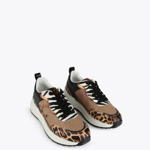 Lola Casademunt Zapatillas Deportivas<Sneakers animal print rejilla |  COLECCIÓN LOLA | Lola Casademunt MARRON