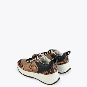 Lola Casademunt Zapatillas Deportivas<Sneakers animal print rejilla | COLECCIÓN LOLA | Lola Casademunt MARRON